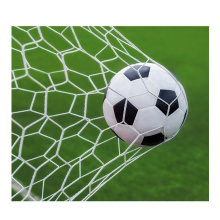 Wholesale 2.5mm thickened 5-person standard football game training equipment football goal net